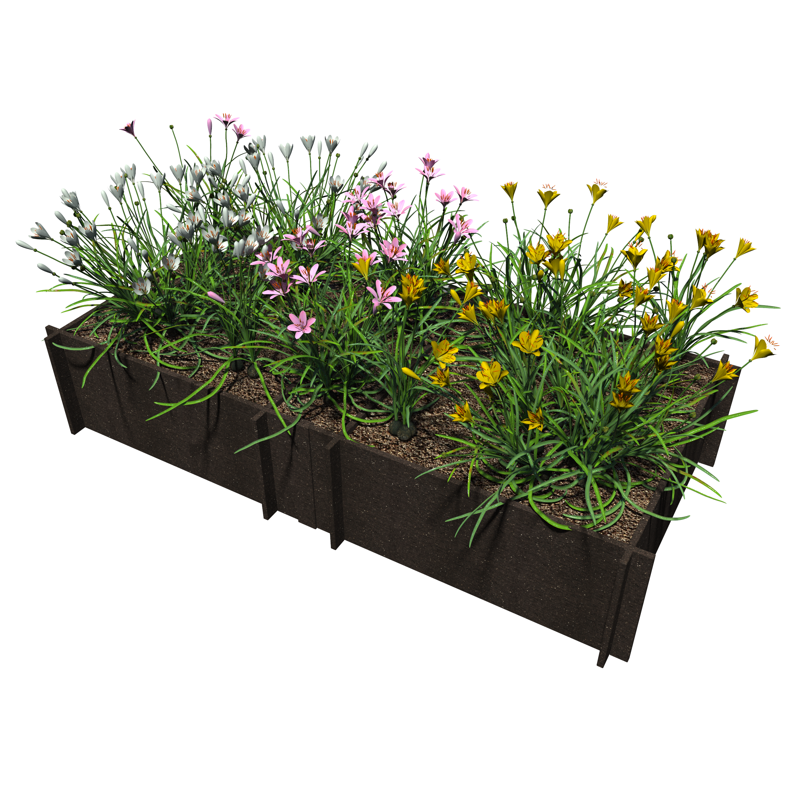 Raised Garden Beds