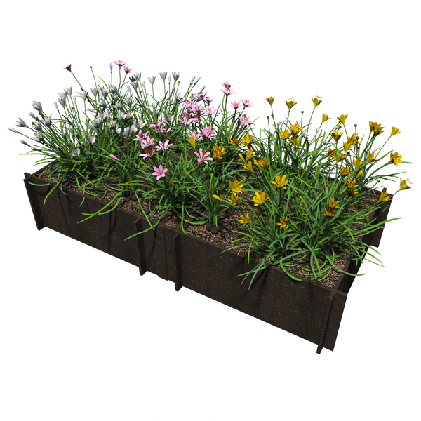 Raised Garden Beds