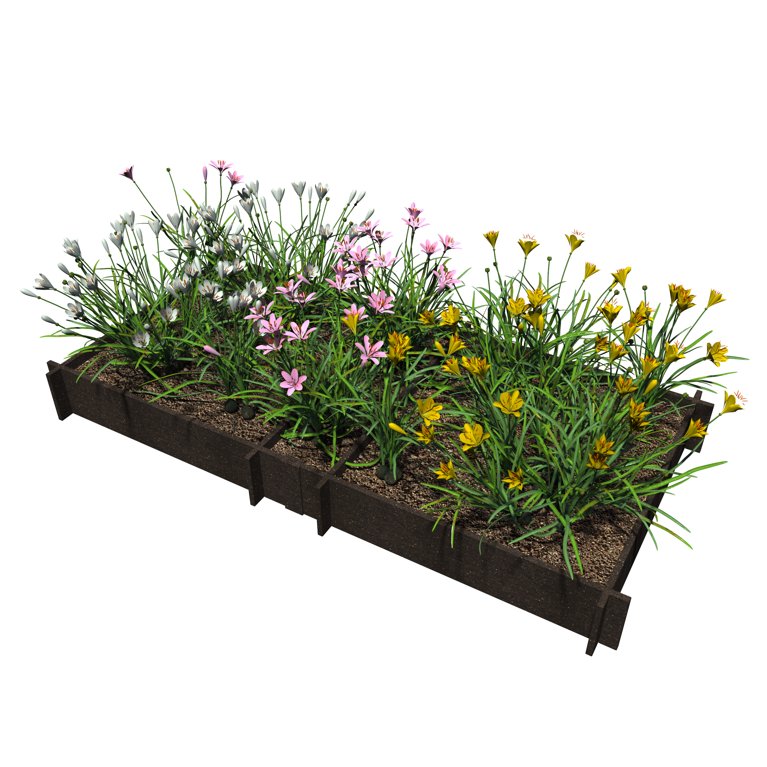 Raised Garden Beds