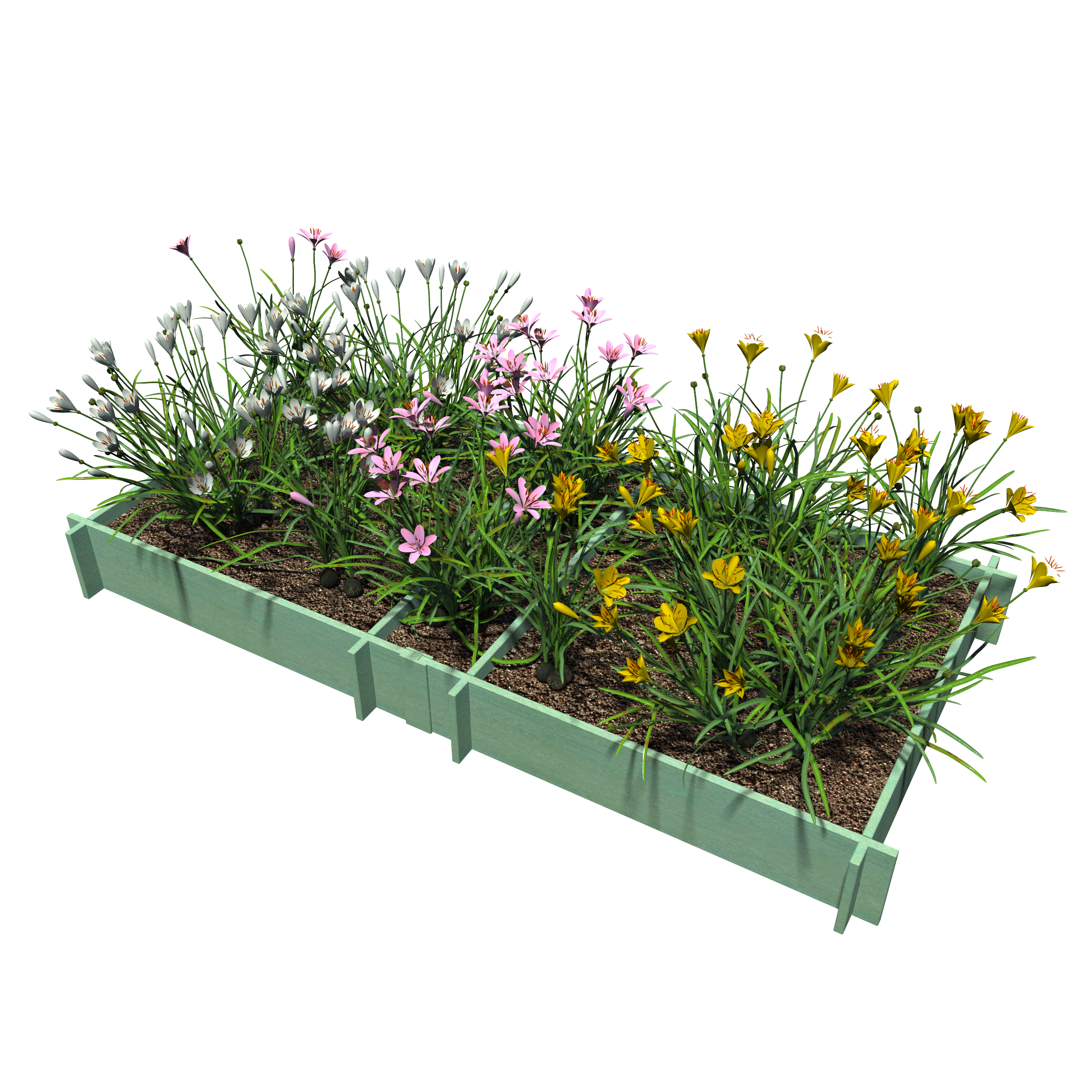 Raised Garden Beds