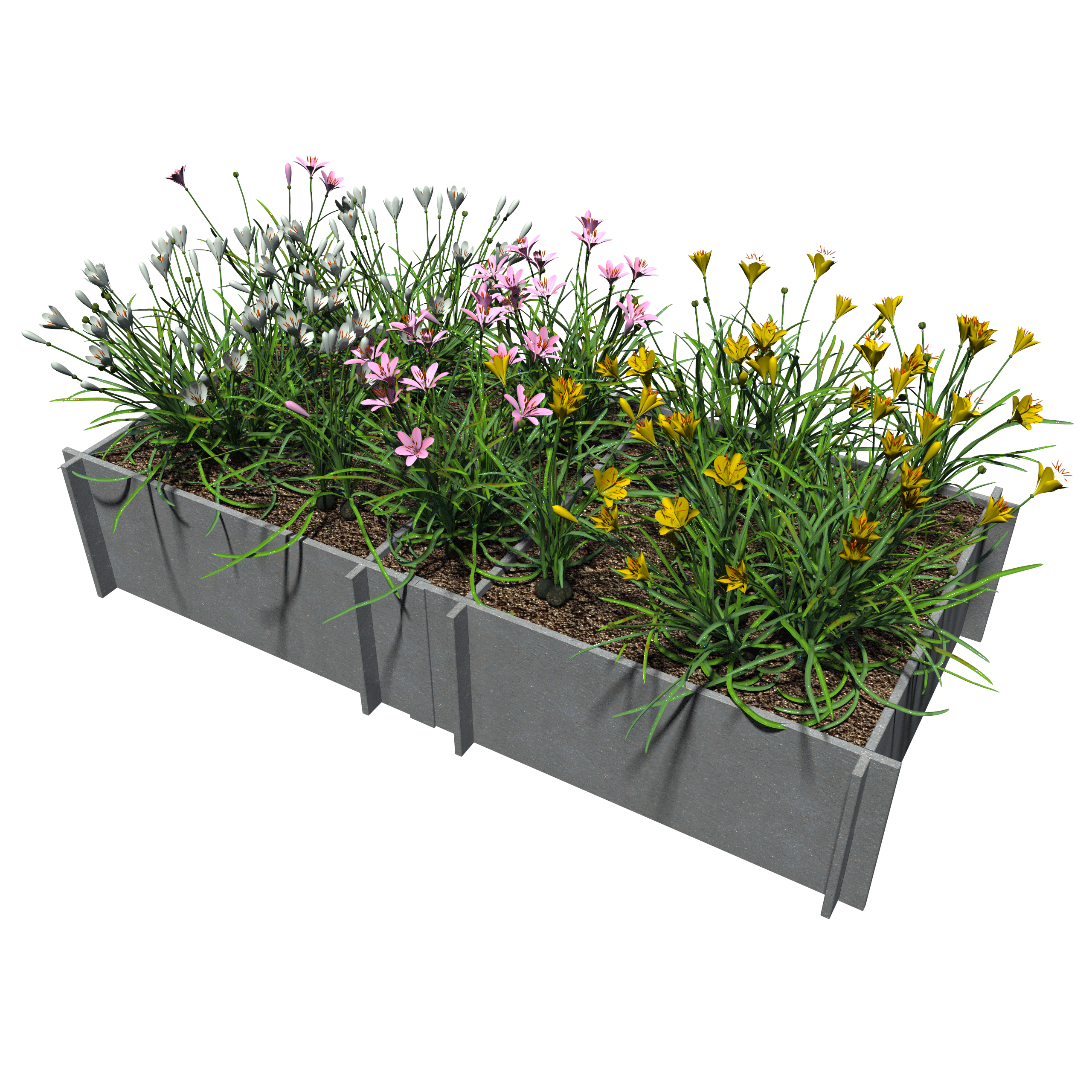 Raised Garden Beds