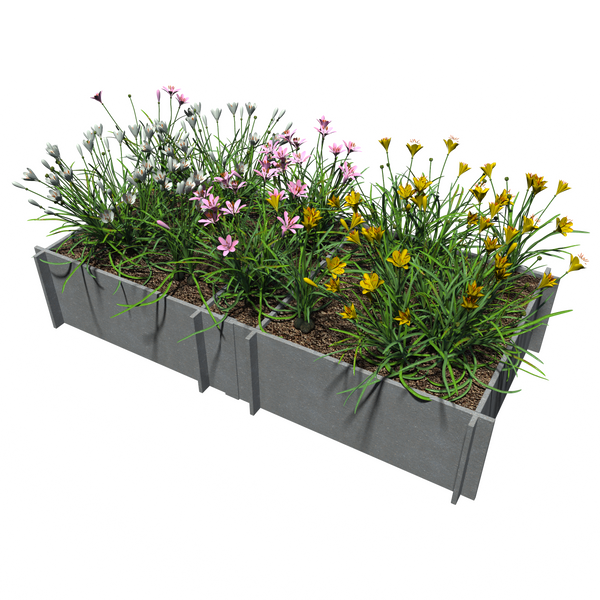 Raised Garden Beds