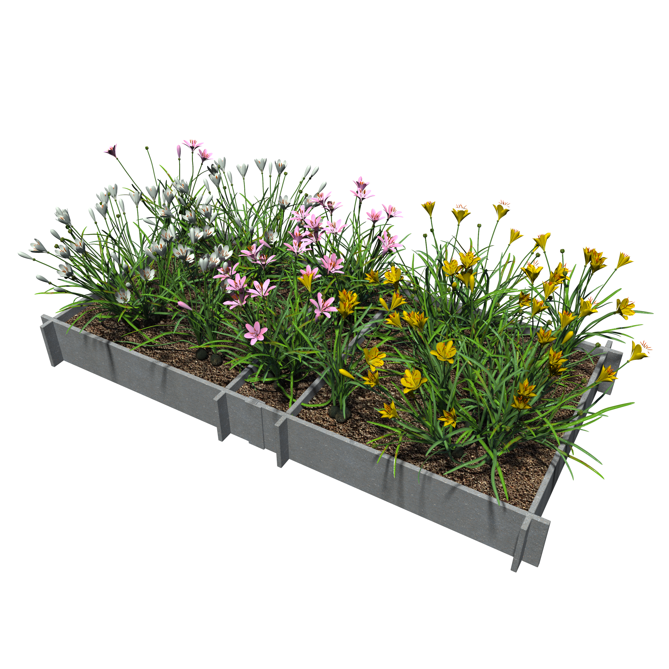 Raised Garden Beds