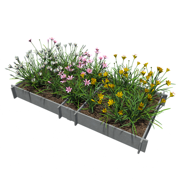 Raised Garden Beds