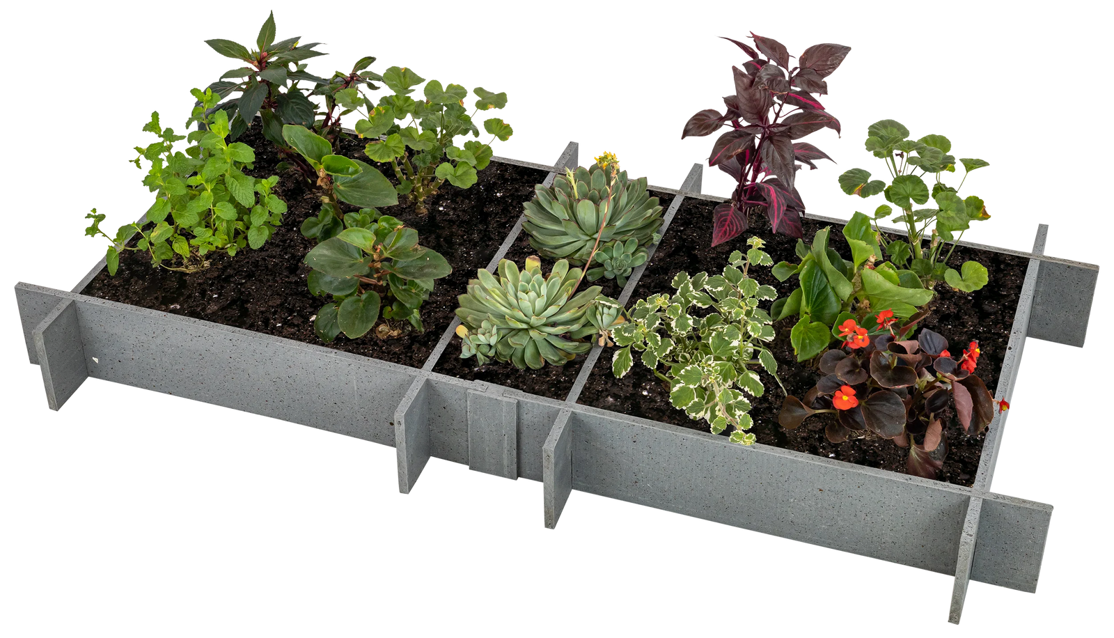 Raised Garden Beds - 5" Walls