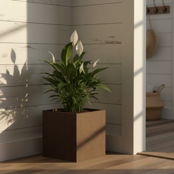 THE CUBE - VioBlox - 10x10x10 Indoor/Outdoor Planter