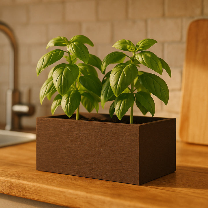 THE MINI DOUBLE - VioBlox - 5x10x5 Indoor/Outdoor Planter