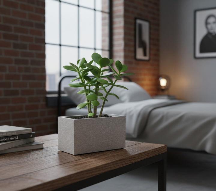 THE MINI DOUBLE - VioBlox - 5x10x5 Indoor/Outdoor Planter