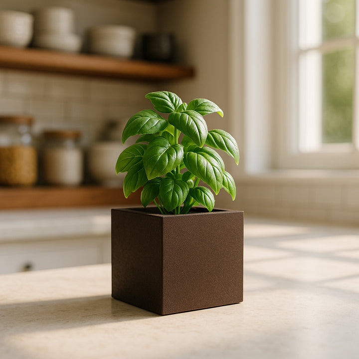 THE MINI - VioBlox - 5x5x5 Indoor/Outdoor Planter