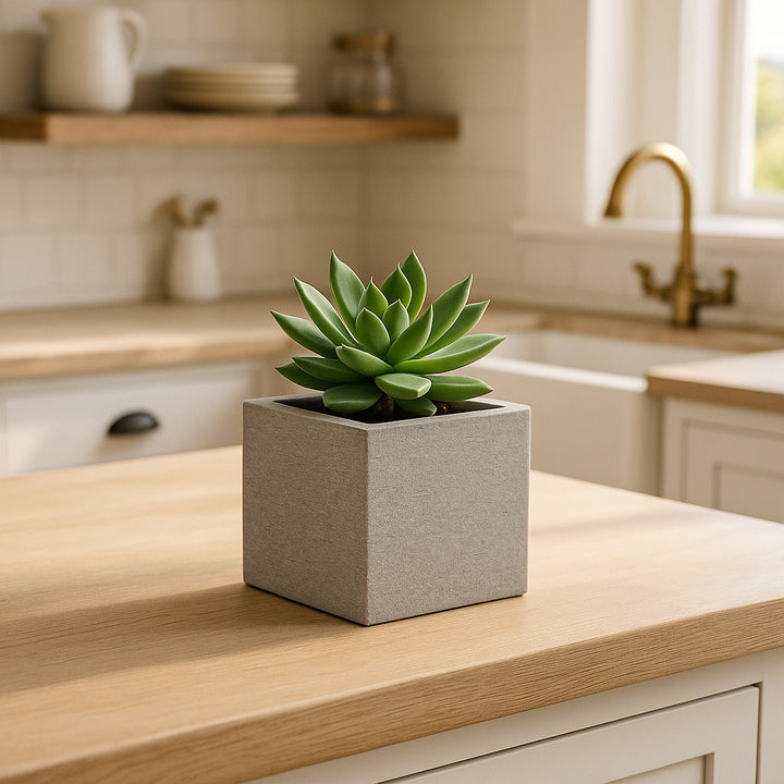 THE MINI - VioBlox - 5x5x5 Indoor/Outdoor Planter
